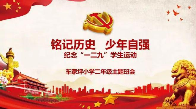 五彩鹦鹉救援