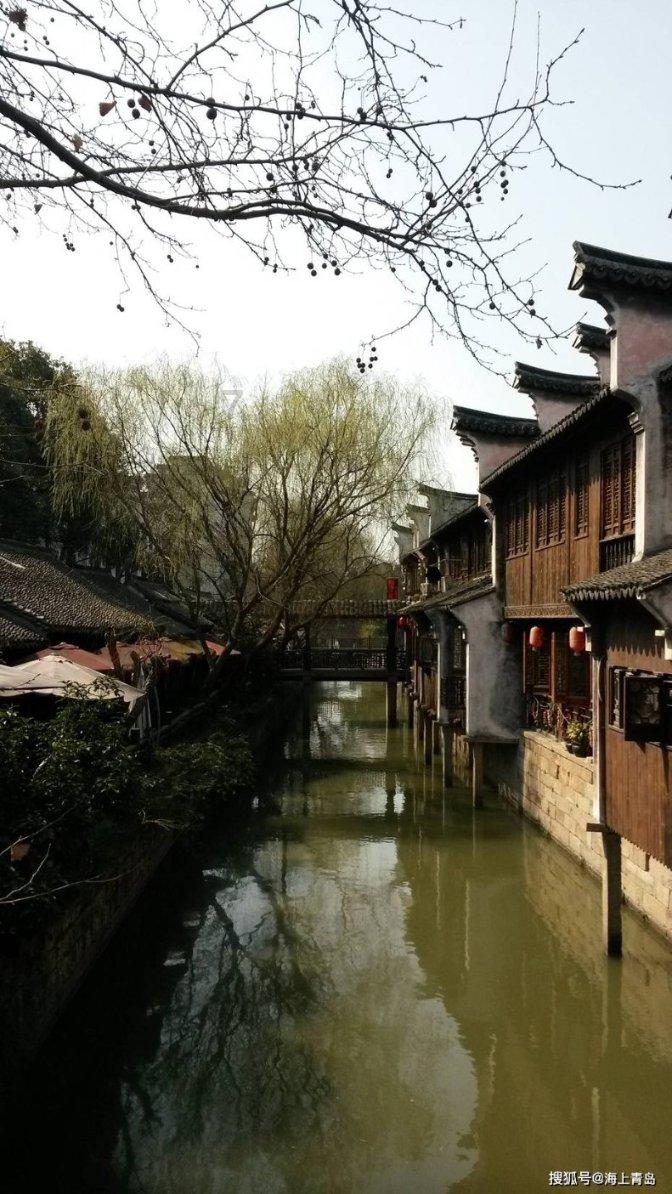 吃什么植物，动物，可以健胃？游戏画面